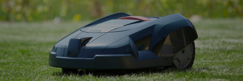 Theme Image